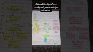 Brief notes for interrelationship between macronutrient metabolism  bsc3rd exambiochemistry [upl. by Ijies]