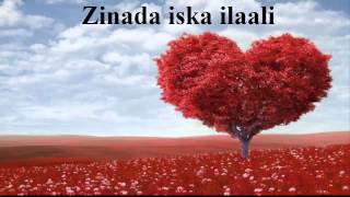 Muxadarado Zinada by Sh Xasan Ibraahim Ciise Xafiduhullaah [upl. by Malinda]