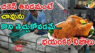 Horrifying Facts Behind Chicken  చికెన్ గురించి మీకు తెలియని భయంకర నిజాలు  With Subtitles [upl. by Hairej]