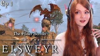 FIGHTING OUR FIRST DRAGON  LETS PLAY ESO ELSWEYR  Closed Beta Gameplay Ep 1 [upl. by Asined]