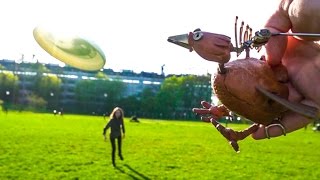 FRISBEE FUN with DABCHICK [upl. by Anaidiriv]