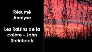 quotLes Raisins de la colèrequot de John Steinbeck [upl. by Schaumberger812]