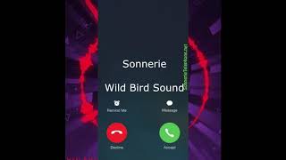 Télécharger sonnerie Wild Bird Sound pour telephone  SonnerieTelephone [upl. by Tomaso151]