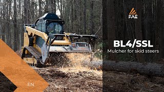 The new FAE BL4SSL Forestry Mulcher For Skid Steers Redefines All Productivity Standards [upl. by Grekin]