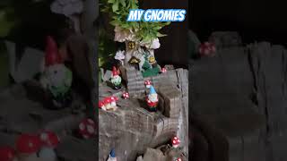 My Gnomies gnomesgarden gardengnome [upl. by Naux]