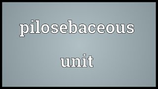 Pilosebaceous unit Meaning [upl. by Kast316]