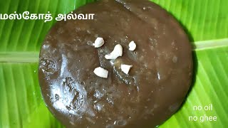 Muscoth halwa recipe in tamil  மஸ்கோத் அல்வா 👌 [upl. by Saloma]