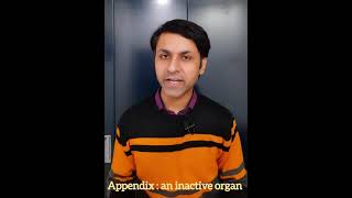 Shorts  Appendicitis  Appendix Vestigial organ  ScienceWorld [upl. by Adnavoj]