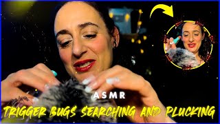 Asmr trigger bugs searching 🐞🐜🦟🕷🪳 [upl. by Sacttler]