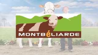 Présentation OS Montbéliarde [upl. by Aylmar]