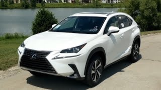 2019 Lexus NX 300h Review  Hybrid BETTER than Turbo 4 [upl. by Adnilym602]