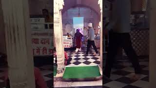 Tum apne bhakto pe kripa karti ho shri radhe vrindavan radhe premanad krishna yash1125 [upl. by Zetnahs]