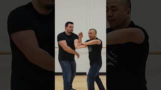 Wing Chun Full Immersion with Sifu Adam Chan [upl. by Leahcimsemaj890]