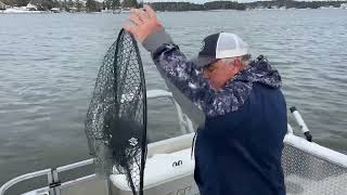 Stripers In 2in Snow Lake Murray [upl. by Oby]