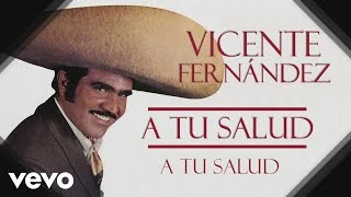 Vicente Fernández  A Tu Salud  Cover Audio [upl. by Dyche197]