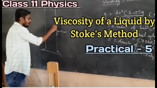 Viscosity of a Liquid by Stokes method  Practical 5  Class 11 Physics  Tamil [upl. by Astrea21]