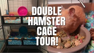 HAMSTER CAGE TOURS  Critter Nation Hamster Cages [upl. by Youngran]