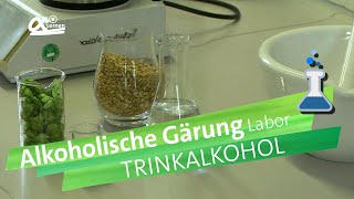 Trinkalkohole Die alkoholische Gärung im Labor  alpha Lernen erklärt Chemie [upl. by Tia]