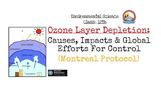 Ozone Layer DepletionCauses Impacts and Global efforts for Control Montreal protocol 12thJKBose [upl. by Steffy]