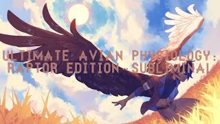 ⊱🎟 ❝𝐁𝐢𝐫𝐝 𝐨𝐟 𝐏𝐫𝐞𝐲❞ Ultimate Avian Physiology Raptor Edition～Subliminal [upl. by Trofmoc]