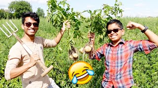 POTATO PICKINGHARVESTING In Canada  VelBros Tamil [upl. by Novyar356]