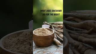 Discover the Benefits of Organic Shatavari Powder [upl. by Philbrook]