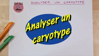 Analyser un caryotype  Cycle 4 [upl. by Ardet]