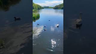 The Quoile River in County Down Northern Ireland [upl. by Varin]