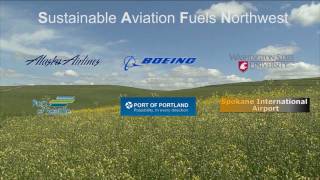 Sustainable Aviation Fuels Northwest [upl. by Elysha]