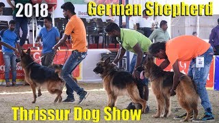 German Shepherd Dogshow Thrissur 2018 [upl. by Yatnuahc909]