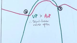 815 Cardiac Cycle Cambridge AS amp A Level Biology 9700 [upl. by Stinky]