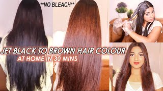 I coloured my Jet BLACK Hair to Golden BROWN Hair without BLEACH at home ✨Hair Transformation [upl. by Hsekar]