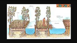 Chinampas  Floating Island Gardens and Self Watering Farmland [upl. by Ocramed255]