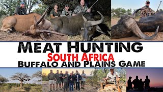 Hunting for meat in South Africa [upl. by Nyrtak]