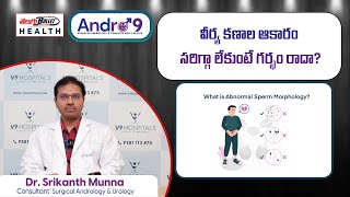 Abnormal Sperm Morphology Does It Affect to get Pregnancy  Dr Srikanth Munna  Telugu Health [upl. by Rehtae]