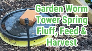 Garden Worm Tower Spring Fluff Feed amp Harvest [upl. by Sukul]