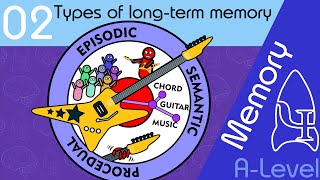 Types of long term memory AQA ALevel [upl. by Necyrb]