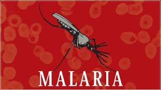 Malaria [upl. by Lorena]