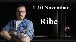 RIBE 1  10 NOVEMBAR [upl. by Iralav]