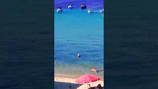 Greece Halkidiki Ammouliani island beach ⛱️🏖️🌊 beach sea island [upl. by Asirahc]