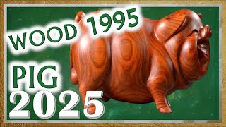 Pig Horoscope 2025  Wood Pig 1995  January 31 1995 to February 18 1996 [upl. by Nivlen986]