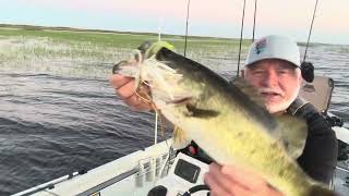 Old ball n chain on a fall day on Lake Okeechobee with a twist of chatter bait 😊👍 [upl. by Gile]