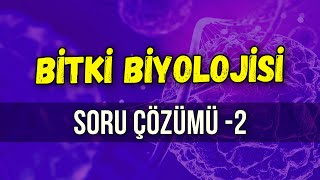 BİTKİ BİYOLOJİSİ SORU ÇÖZÜMÜ 2  Seda Hoca Biyoloji 🧬 ayt2024 [upl. by Barstow]