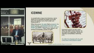 Production Condition of Ice Wine  Masterclass with Inniskillin  Napa Valley Wine Academy [upl. by Winser]