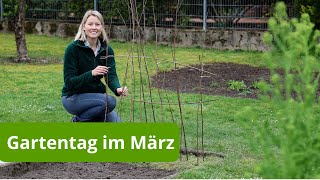 Gartenarbeiten Ende März  Aussaat im Freiland Erbsen amp Rankhilfe Moos im Rasen  Stylingkitchen [upl. by Jackie742]