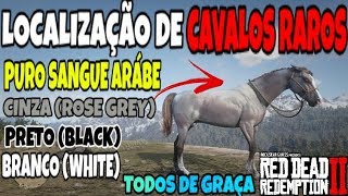 RED DEAD REDEMPTION 2 CAVALOS RAROS DE GRAÇA TODOS PURO SANGUE ARABES LOCALIZAÇÃO DE RESPAW [upl. by Airdnaed]