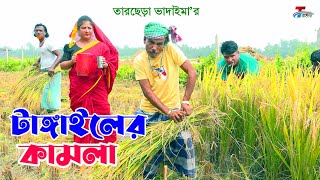 টাঙ্গাইলের কামলা  তারছেরা ভাদাইমা । Tangailer Kamla । Tarchera Vadaima  Bangla Koutuk 2024 [upl. by Mano]