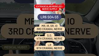 Extraocular Muscles  Nerve Supply [upl. by Zetrom22]