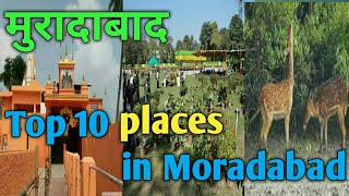 Top 10 Places In Moradabad  मुरादाबाद में घूमने की 10 जगह Vikas Moradabadi [upl. by Ellemac]