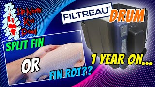 The Filtreau Drum One Year On amp Fin Inspection [upl. by Aitnas647]